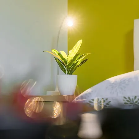 Spadici Luna Apartmán Poreč